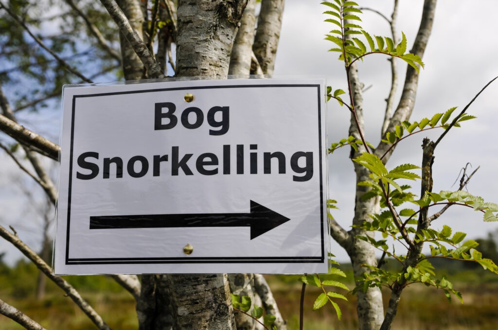 Bog Snorkeling image
