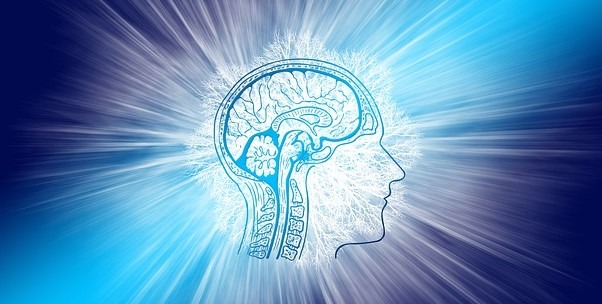 Boost Your Brain Power with the use of Nootropics