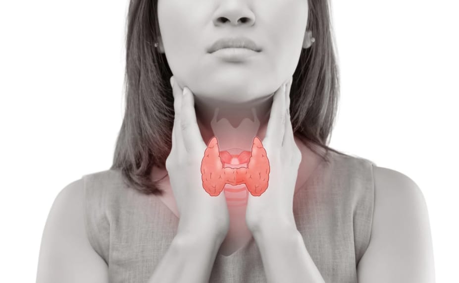 Everything you need to know about Thyroid Disorder