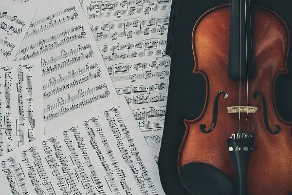 The Ultimate Beginner's Guide to Learning the Violin