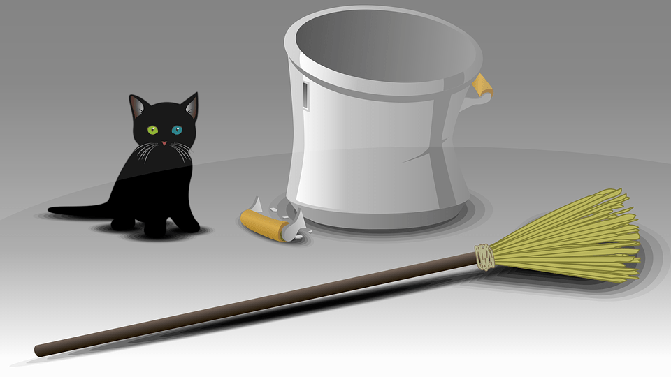 black cat with broom