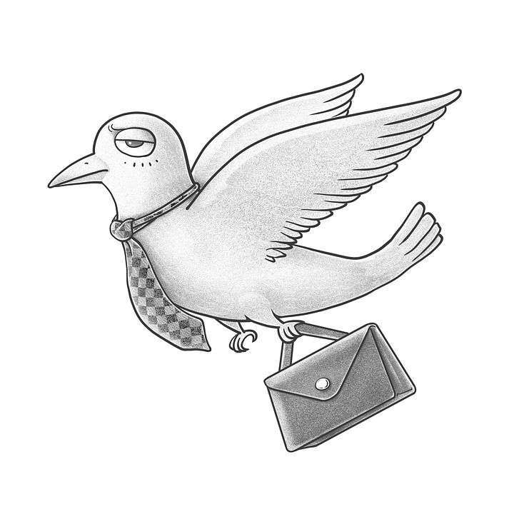 cartoon pigeon that looks like Yankee Doodle Pigeon