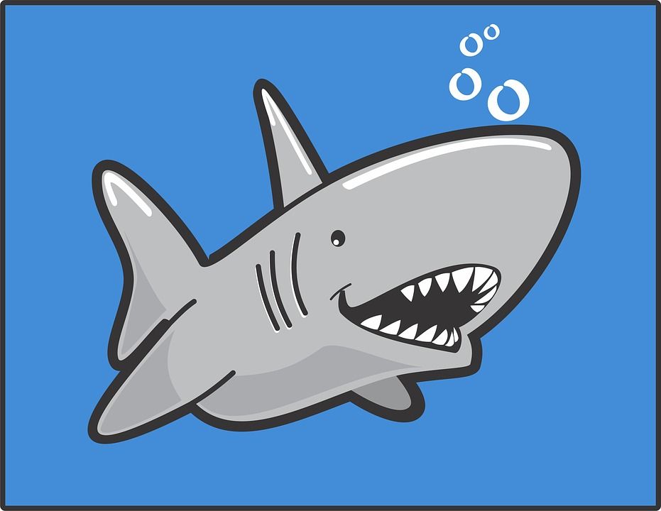 cartoon version of a shark