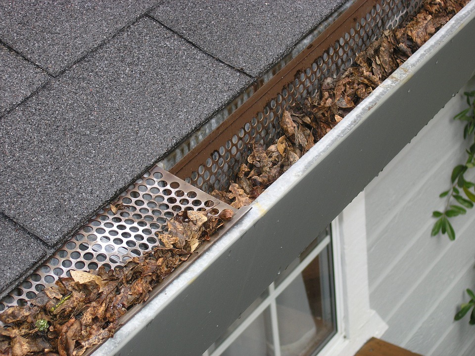 4 Consequences of Not Cleaning Your Gutters
