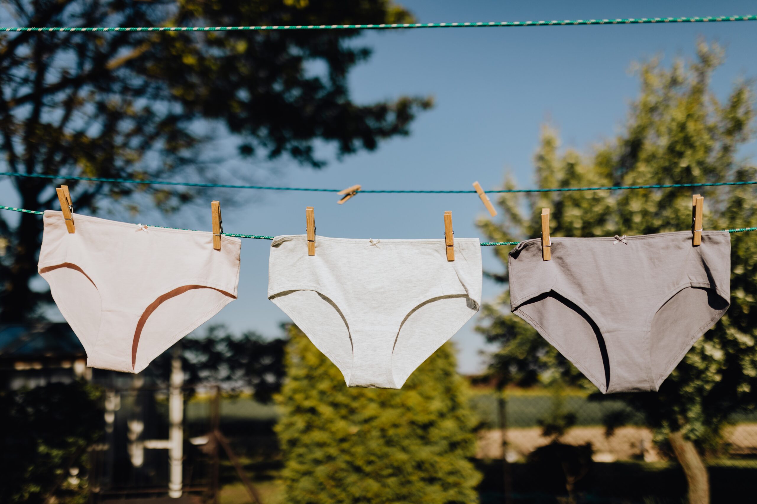 Underwear drying on a line image
