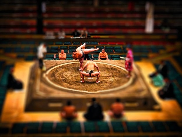 sumo wrestling ring