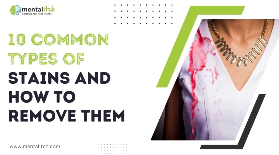 10 Common Types of Stains and How to Remove Them