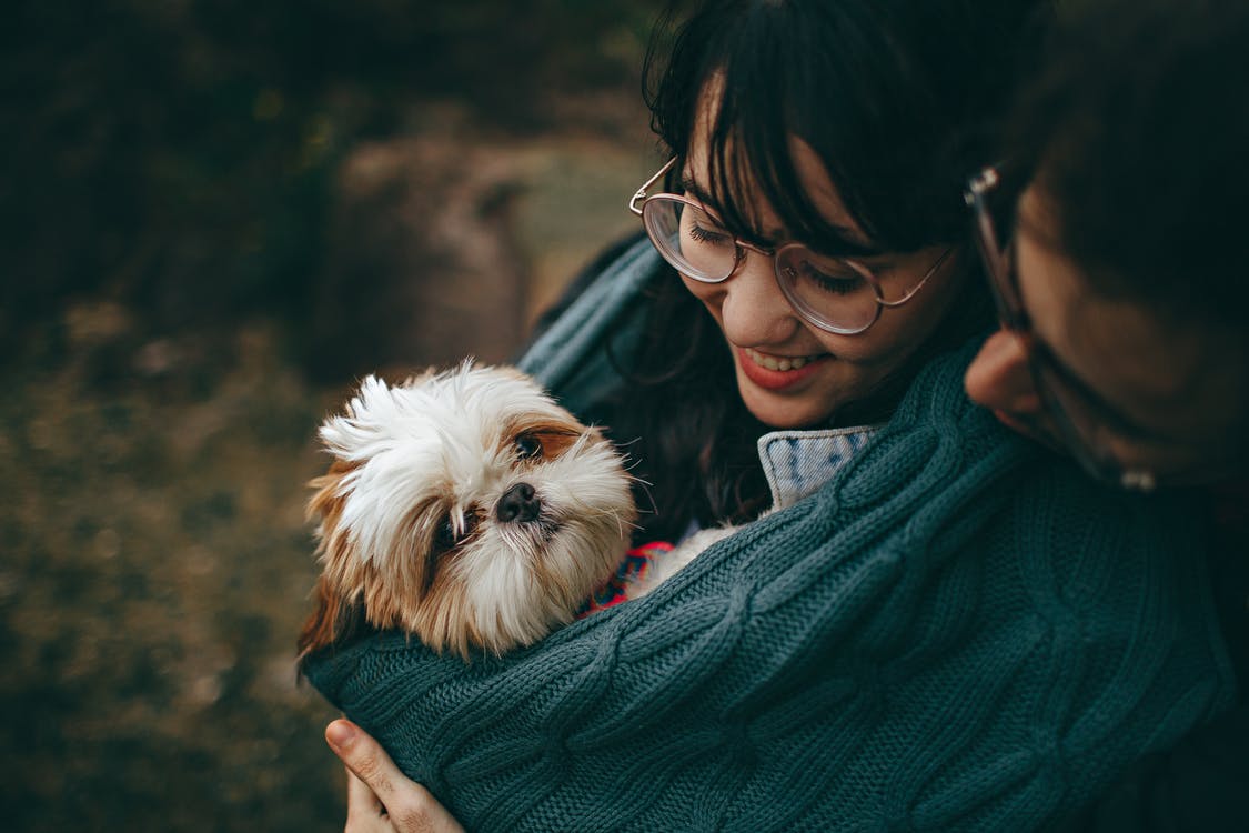 8 Tips on Choosing the Perfect Pet for Your Family