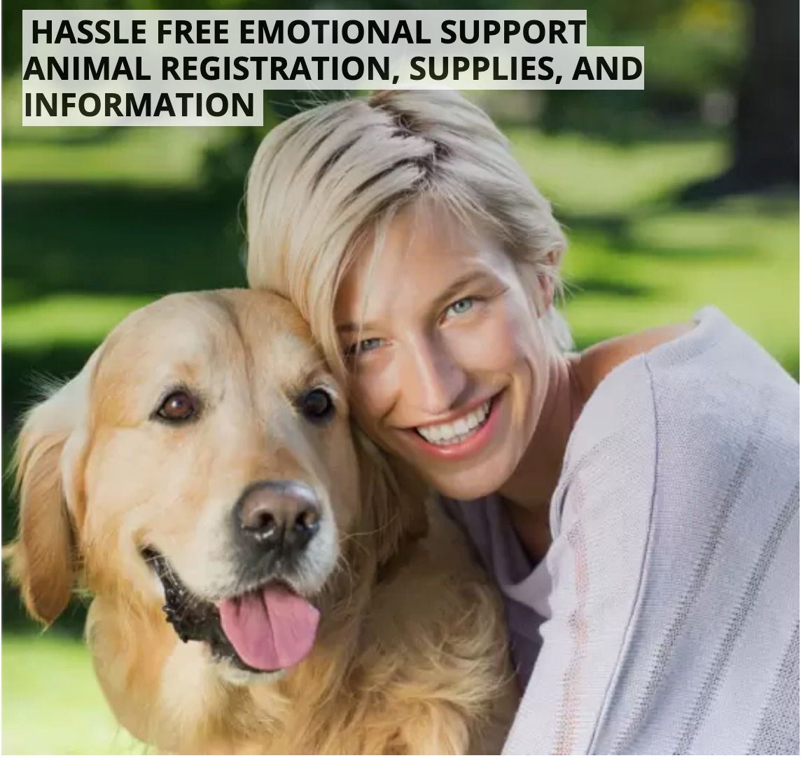 How to Get an Emotional Support Animal in the USA