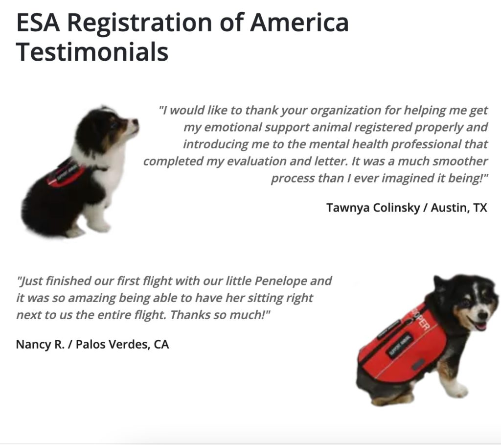 How Do You Get an Emotional Support Animal (ESA)