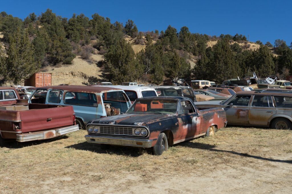 abandoned cars parked near trees image