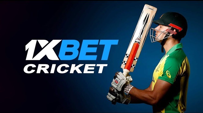 Bet live score on 1xBet, a fantastic example of entertainment