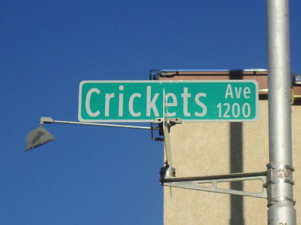 The_Crickets_Avenue,_Lubbock,_TX_IMG