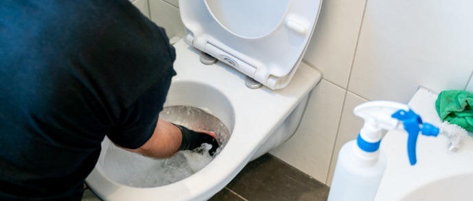 How to remove Hard water scales from toilet