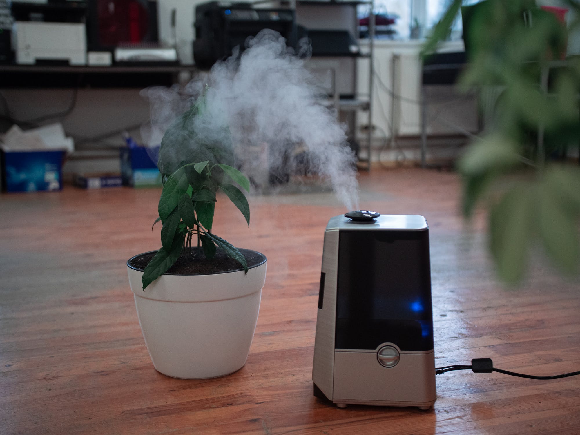 The Easiest Way to Clean Your Humidifier