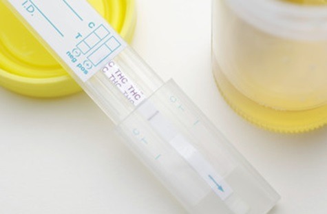 The Proper Way of Using A Drug Test Kit