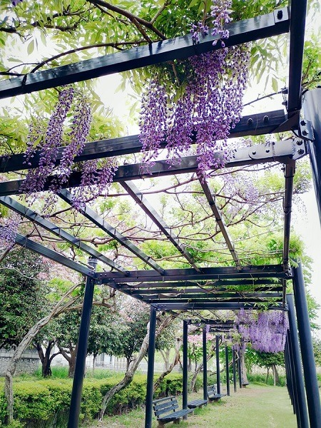 How to Search Sydney Pergola Builders