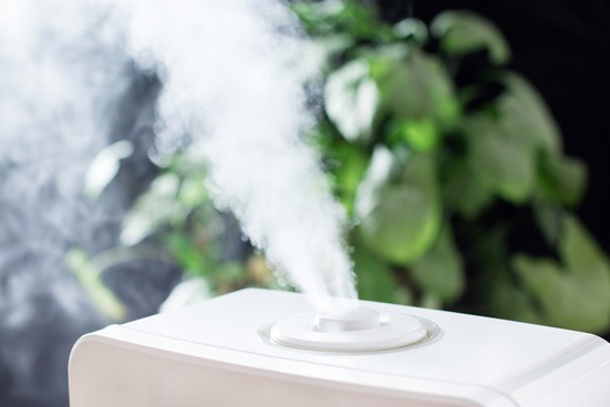 Humidifier Vs. Dehumidifier Differences, Uses & Benefits