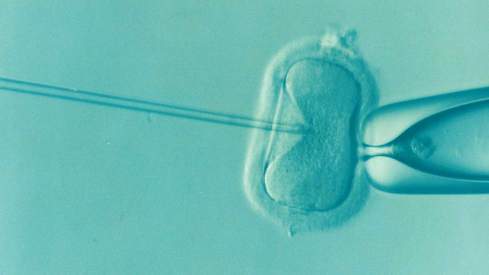 What is IVF and How Does it Work