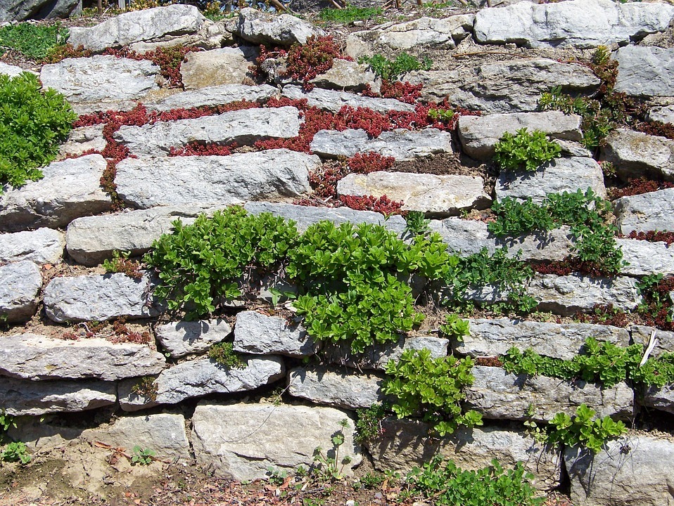 5 Importance of Retaining Wall Contractors