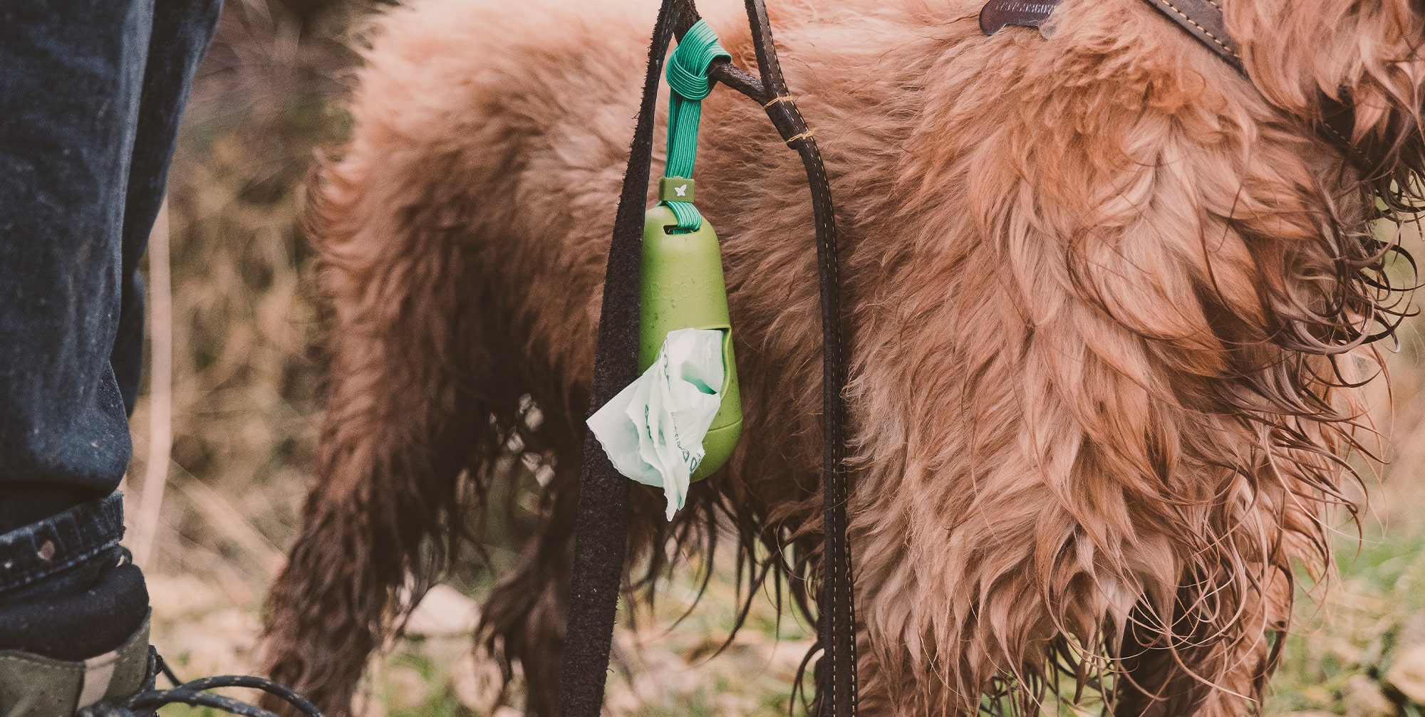 Unearthing Dog Poo Bags - What You Need To Know