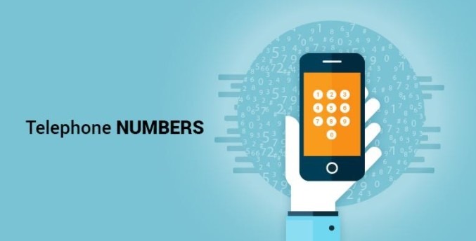 History & Fun Facts about Telephone Numbers