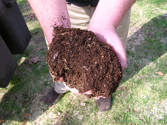 compost dirt