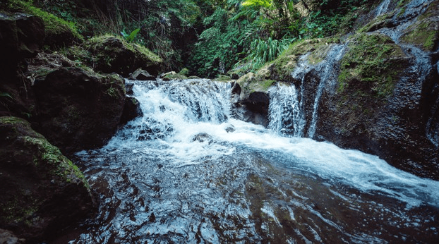 Picture of a waterfall.