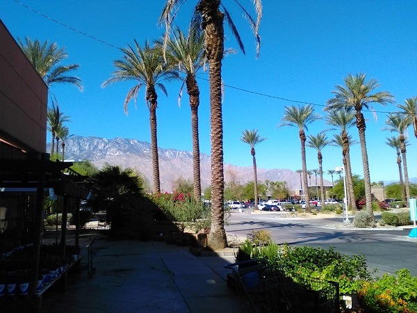 The best areas to buy Palm Springs real estate