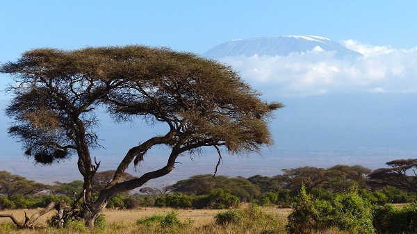 5 Ways to Stop Your Kenyan Vacation from Ending