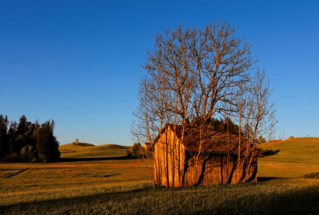 Image of a brown wooden hut.