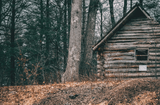 Image of a wooden cabin near trees in a forest.
