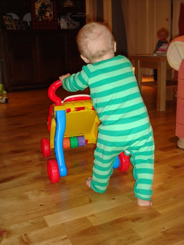 Learning-to-walk-by-pushing-wheeled-toy