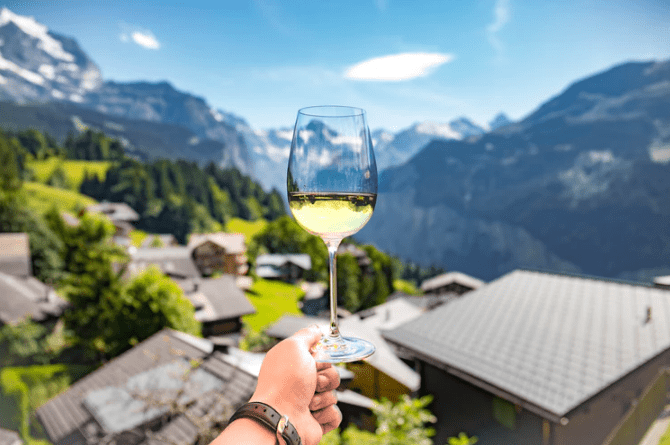 Person holding a glass of wine in front of a beautiful view