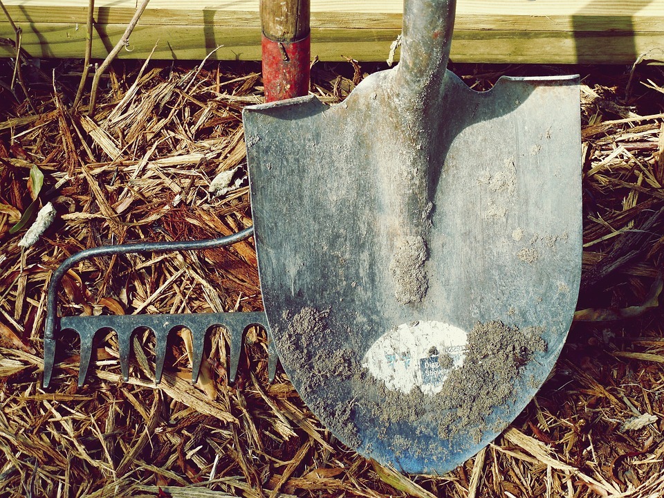 What is the Market Size of Garden Tools