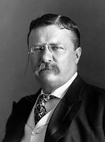 black and white portrait of Theodore Roosevelt