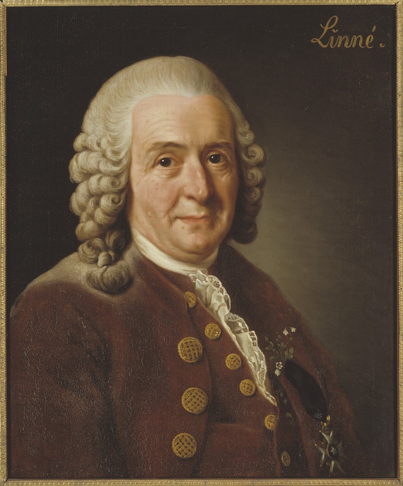 Roslin Alexander:Carl von Linné, 1707-1778.Grh 1053
