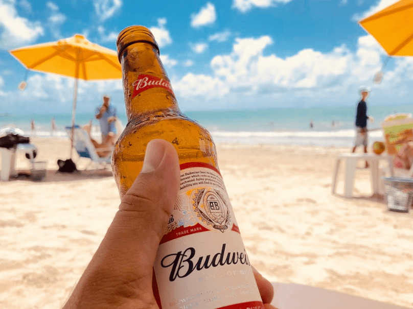 person holding a bottle of Budweiser at the beach