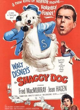 Promotional Film Poster of The Shaggy Dog