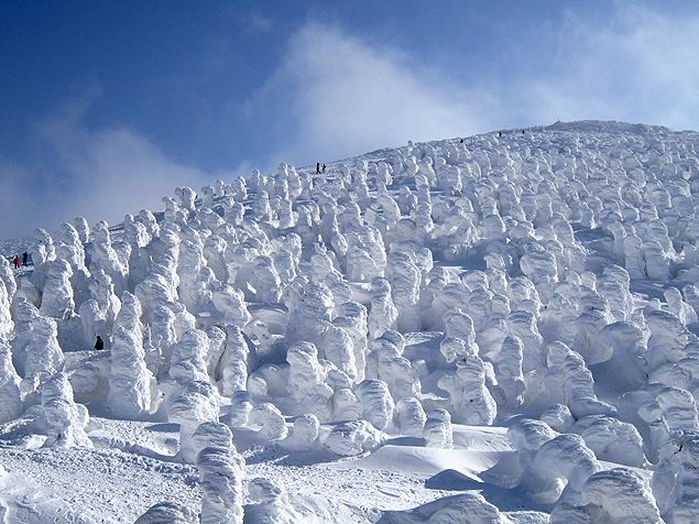 “Snow monsters” in Mount Zao