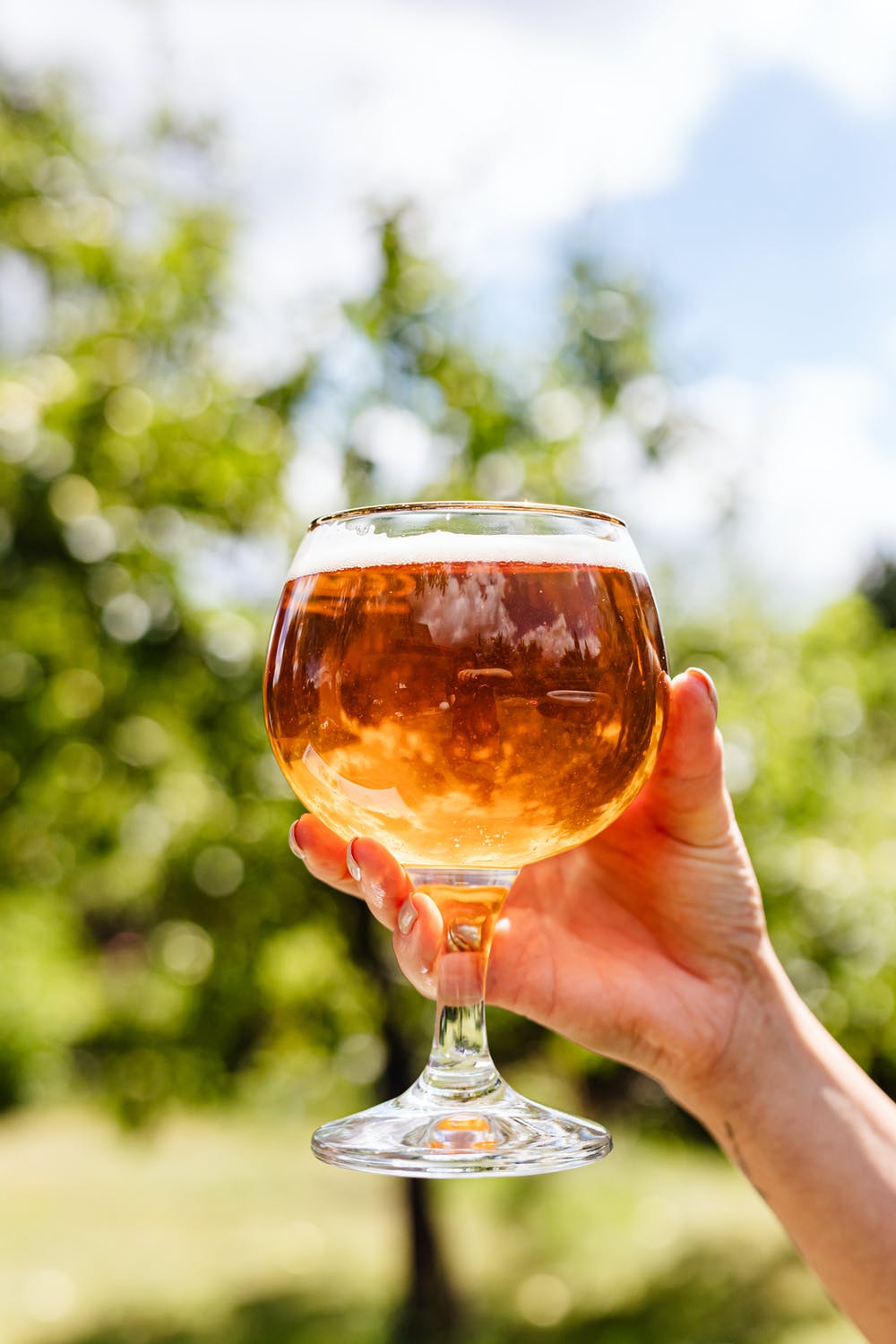 The Benefits of Investing in Home Brewing Products