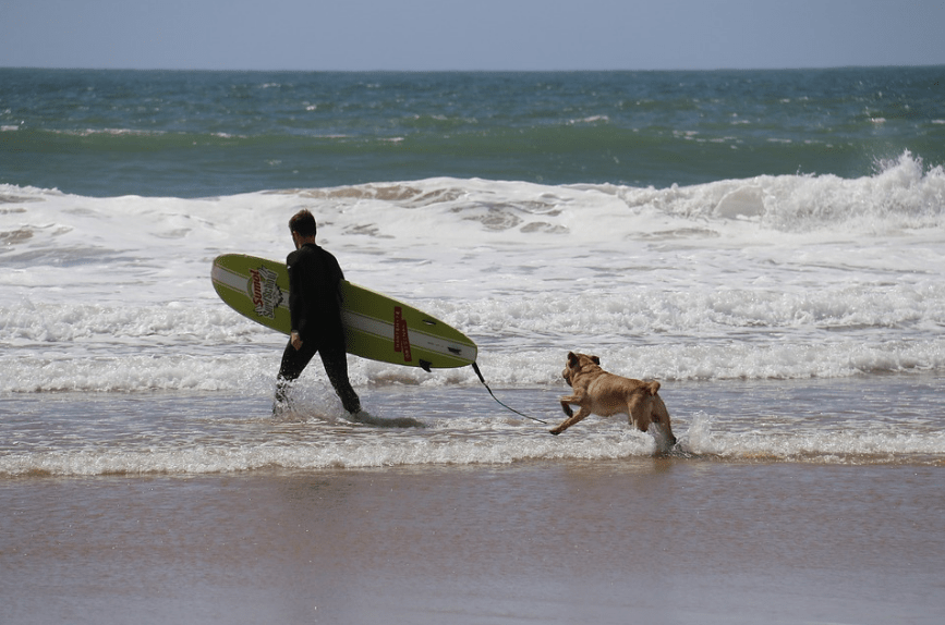 a surfer and his dog
