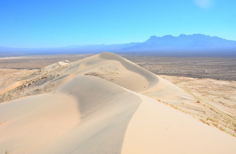 dunes in Mojave Desert