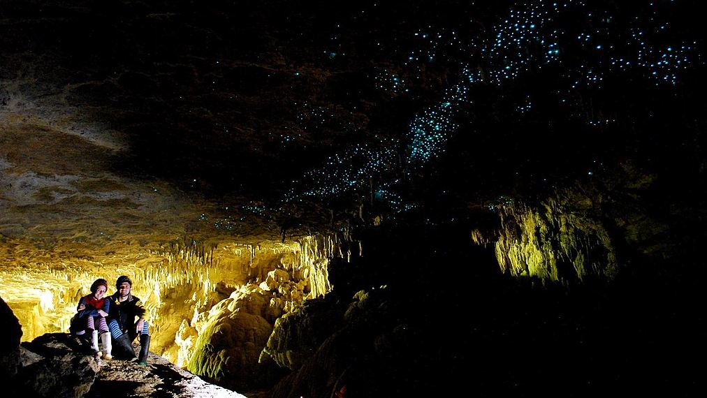 glowworms in Waitomo caves