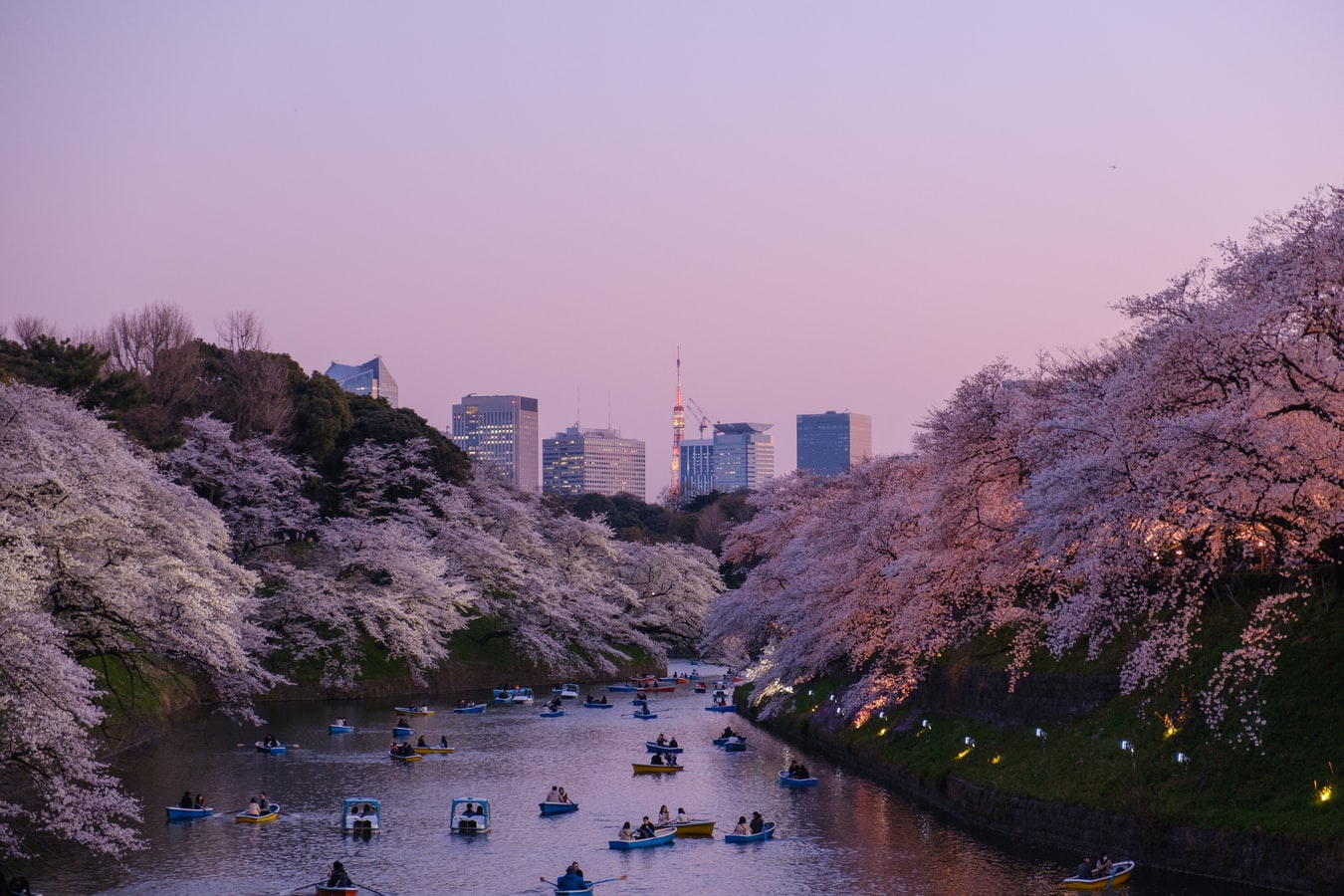 The Best Time to Travel to Japan