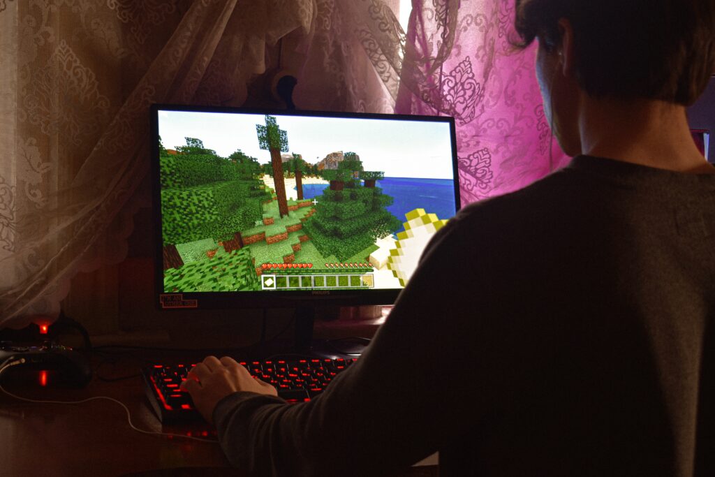 A person playing games on a computer image