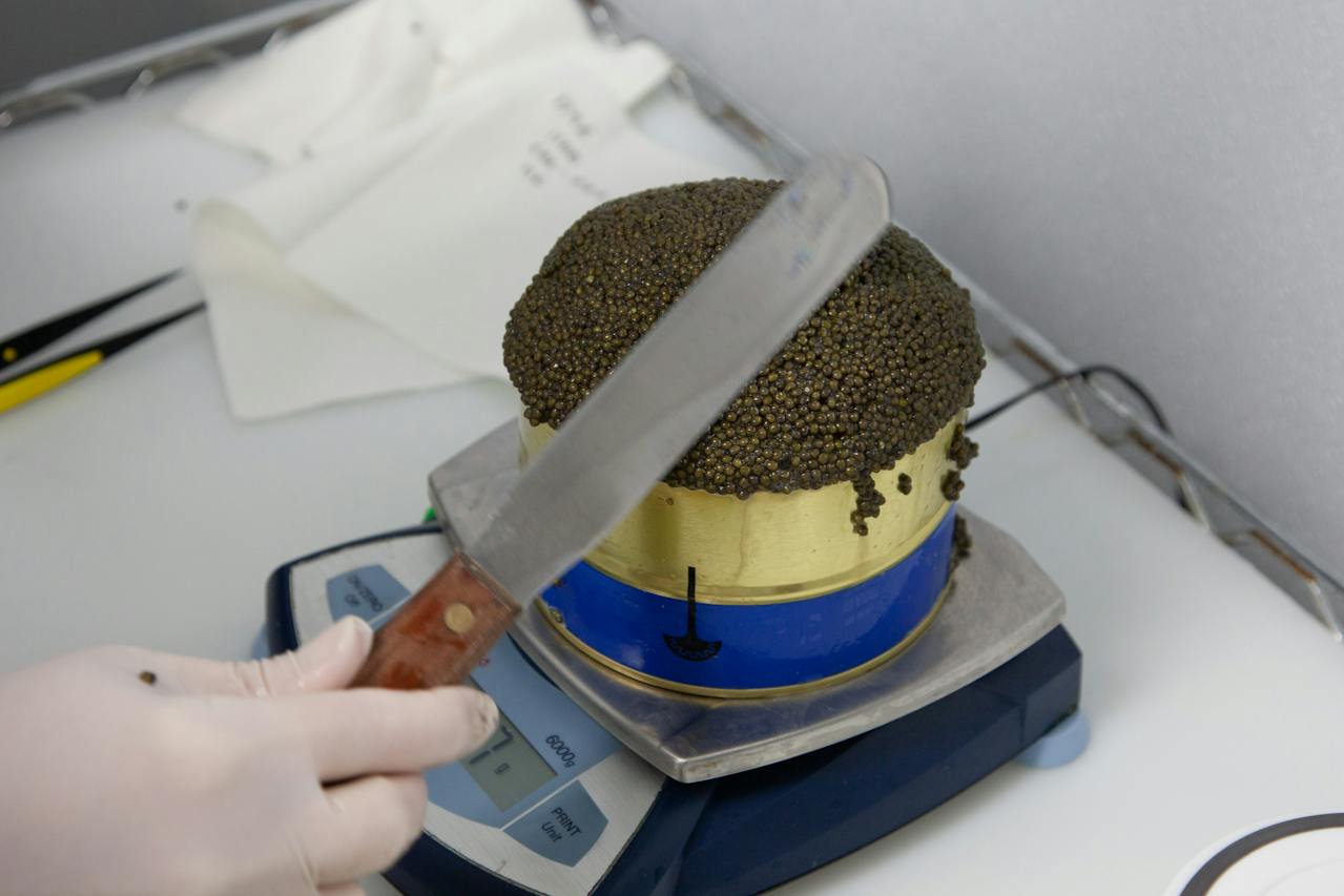 person weighing caviar