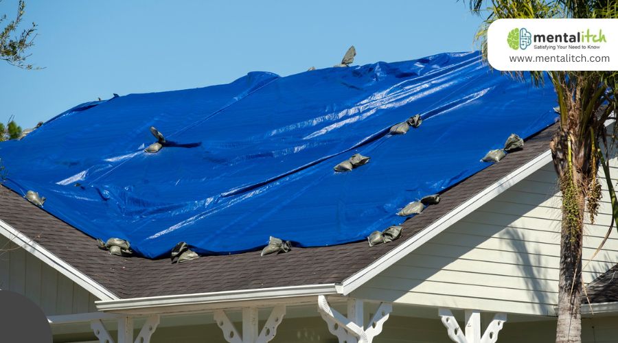 When To Use Vinyl or Canvas Tarps: Selecting the Right Tarp for Your Application