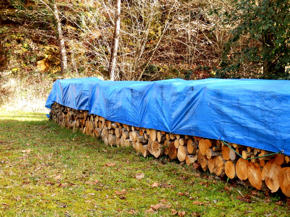 Woods covered with blue tarp