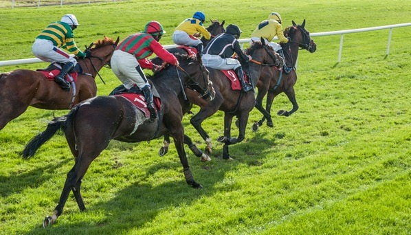 The biggest stories from another thrilling flat racing campaign